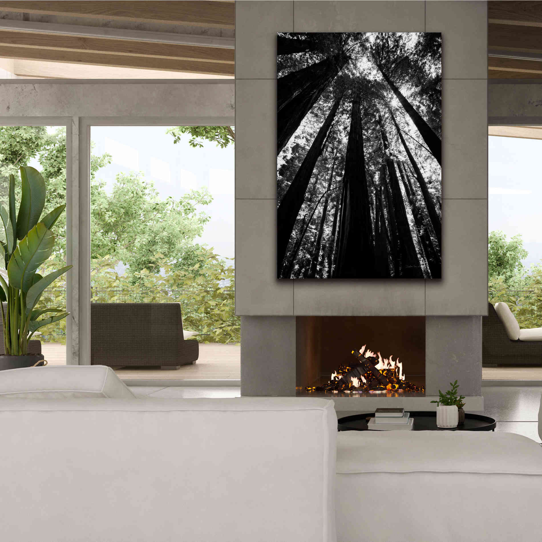 'The Stand BW' by Debra Van Swearingen, Canvas Wall Art,40 x 60