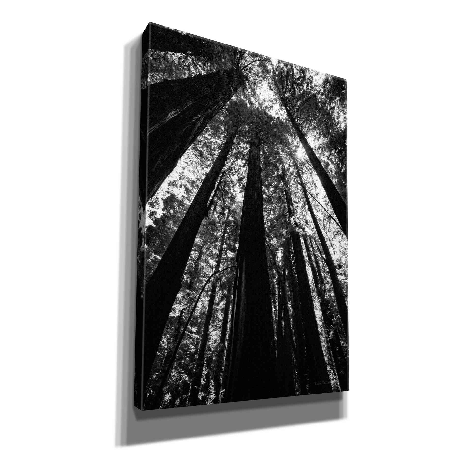 'The Stand BW' by Debra Van Swearingen, Canvas Wall Art,12x18x1.1x0,18x26x1.1x0,26x40x1.74x0,40x60x1.74x0