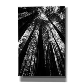 'The Stand BW' by Debra Van Swearingen, Canvas Wall Art,12x18x1.1x0,18x26x1.1x0,26x40x1.74x0,40x60x1.74x0