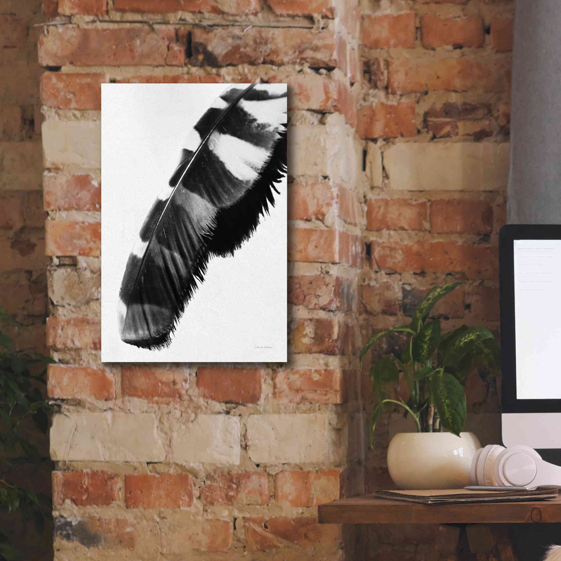 'Feather Shadow II White' by Debra Van Swearingen, Canvas Wall Art,12 x 18