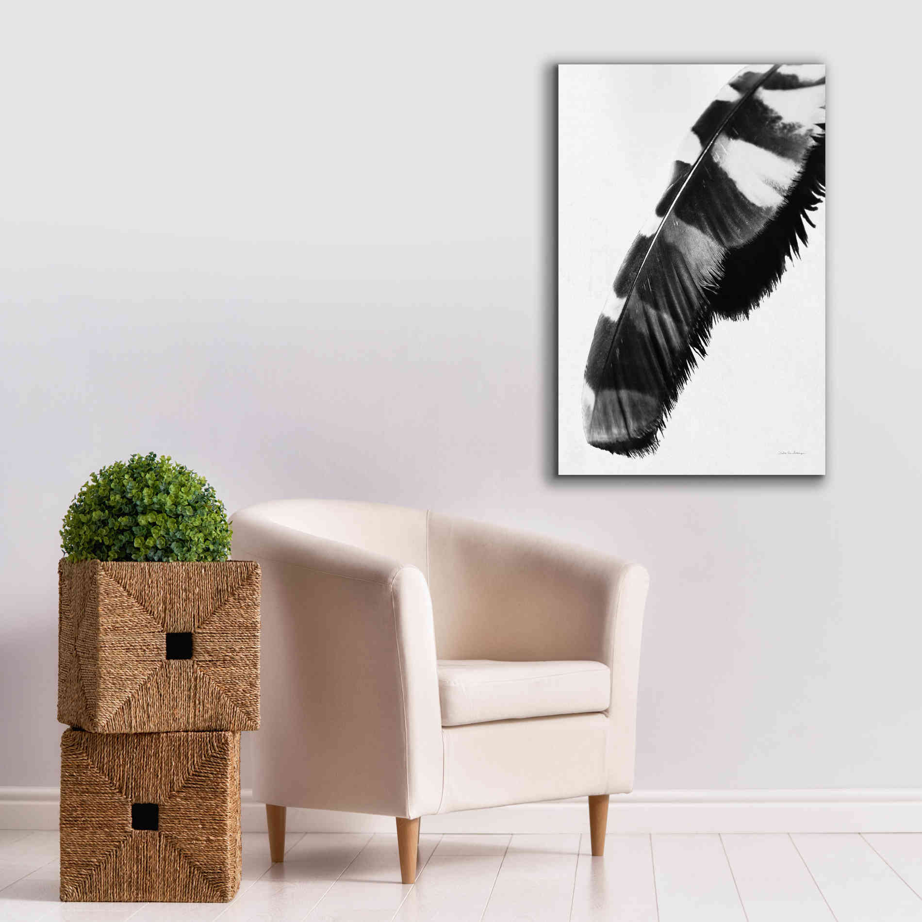 'Feather Shadow II White' by Debra Van Swearingen, Canvas Wall Art,26 x 40