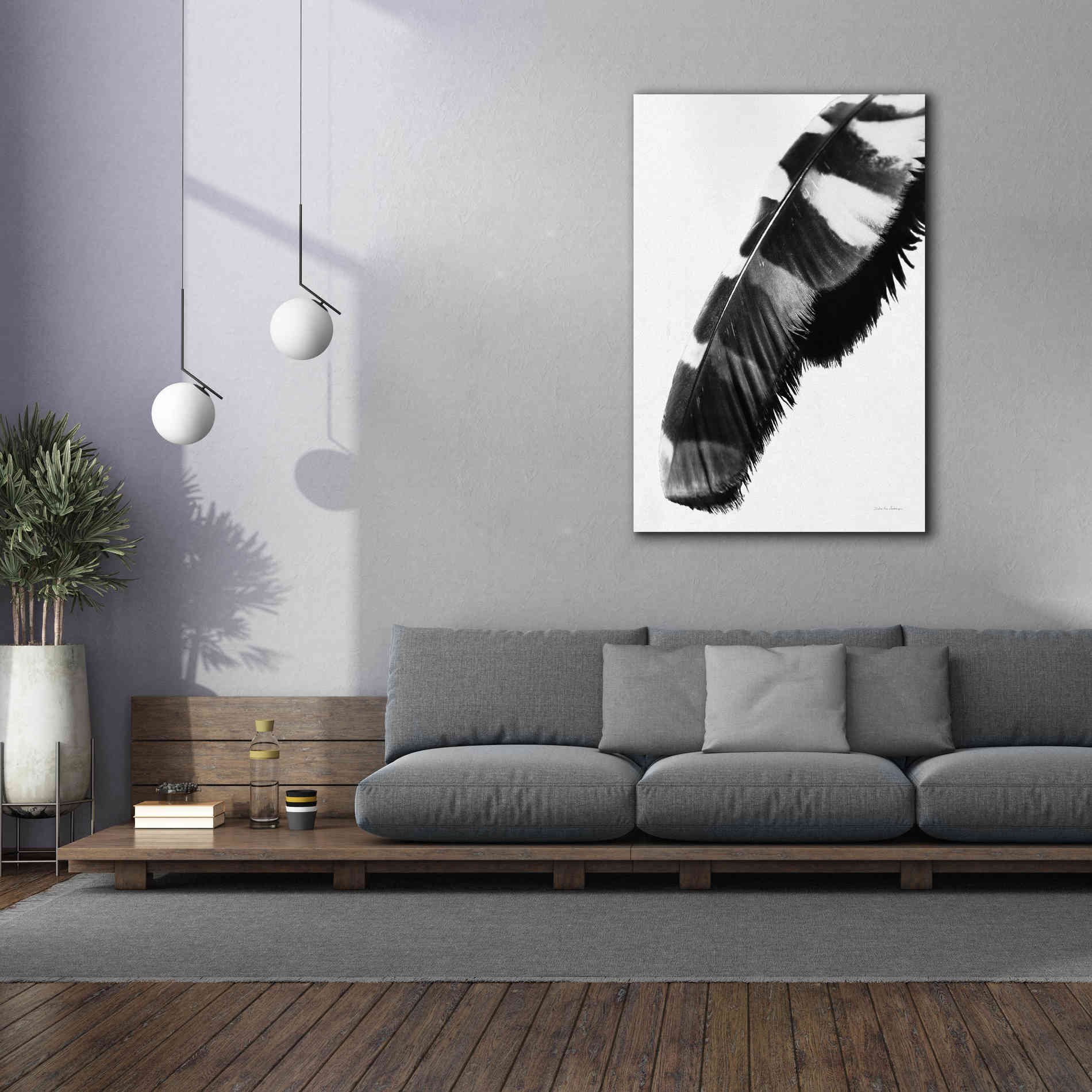 'Feather Shadow II White' by Debra Van Swearingen, Canvas Wall Art,40 x 60