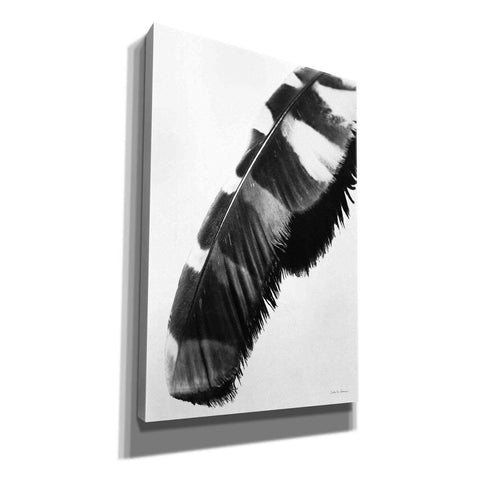 Image of 'Feather Shadow II White' by Debra Van Swearingen, Canvas Wall Art,12x18x1.1x0,18x26x1.1x0,26x40x1.74x0,40x60x1.74x0