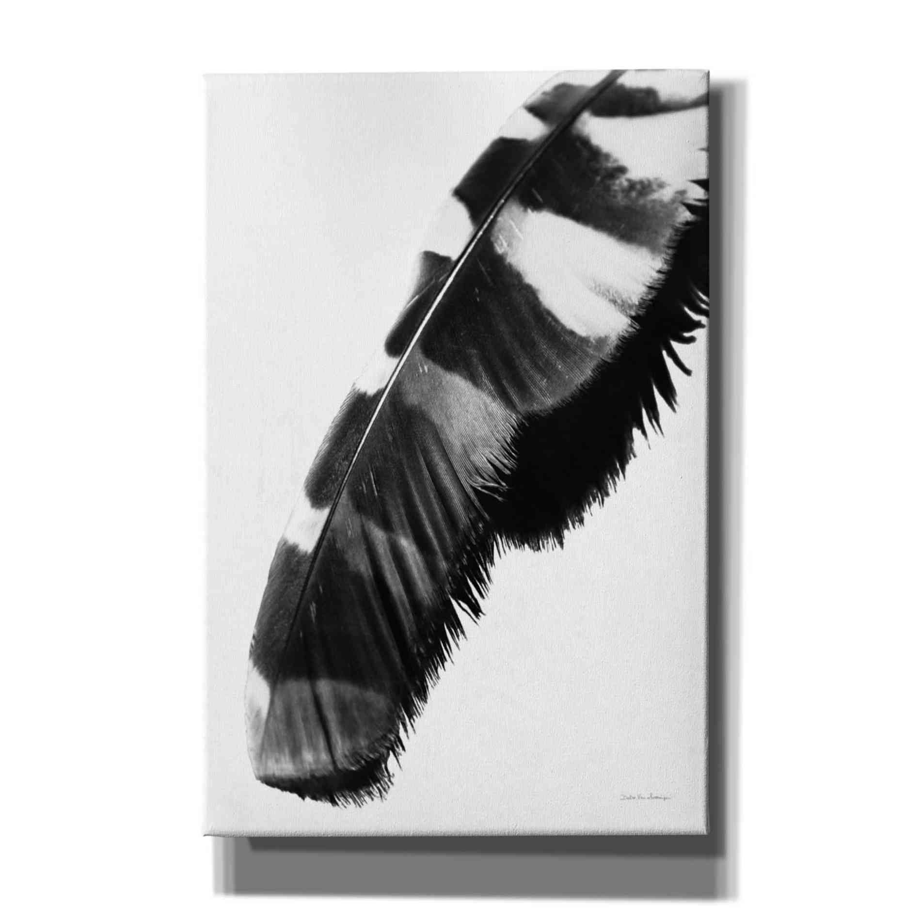 'Feather Shadow II White' by Debra Van Swearingen, Canvas Wall Art,12x18x1.1x0,18x26x1.1x0,26x40x1.74x0,40x60x1.74x0