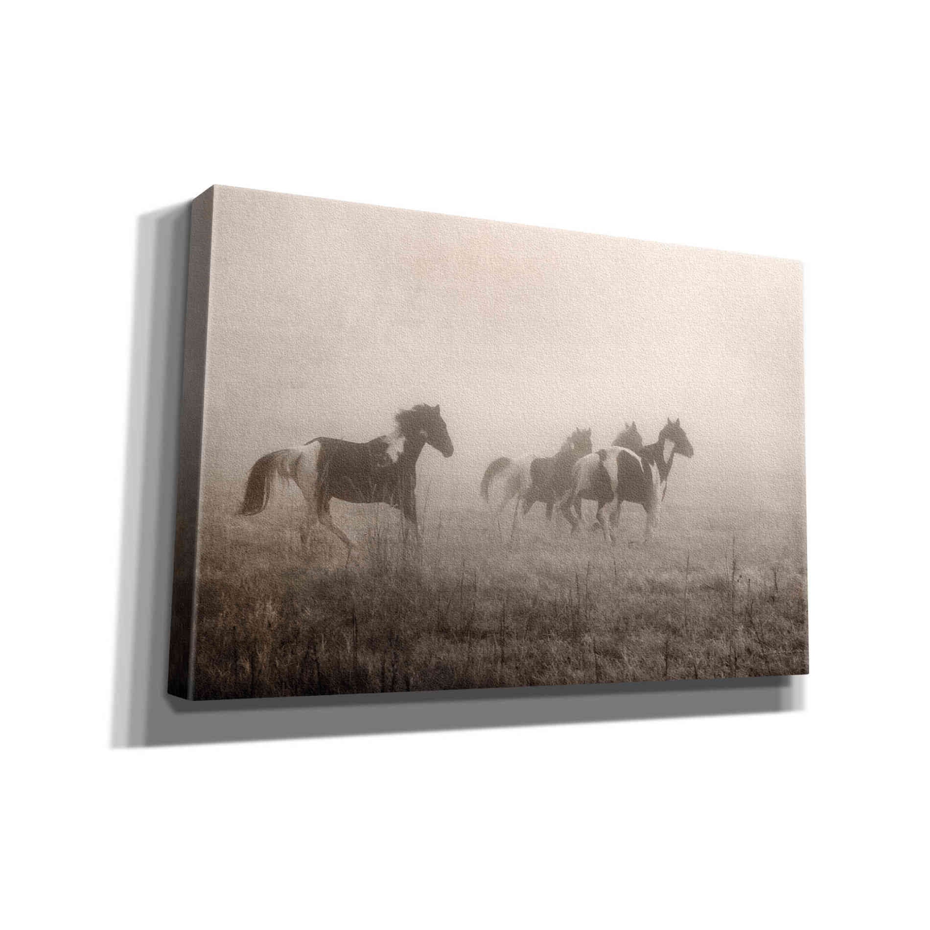 'Painted Horses on the Run' by Debra Van Swearingen, Canvas Wall Art,18x12x1.1x0,26x18x1.1x0,40x26x1.74x0,60x40x1.74x0