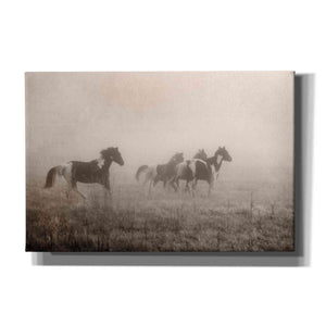 'Painted Horses on the Run' by Debra Van Swearingen, Canvas Wall Art,18x12x1.1x0,26x18x1.1x0,40x26x1.74x0,60x40x1.74x0