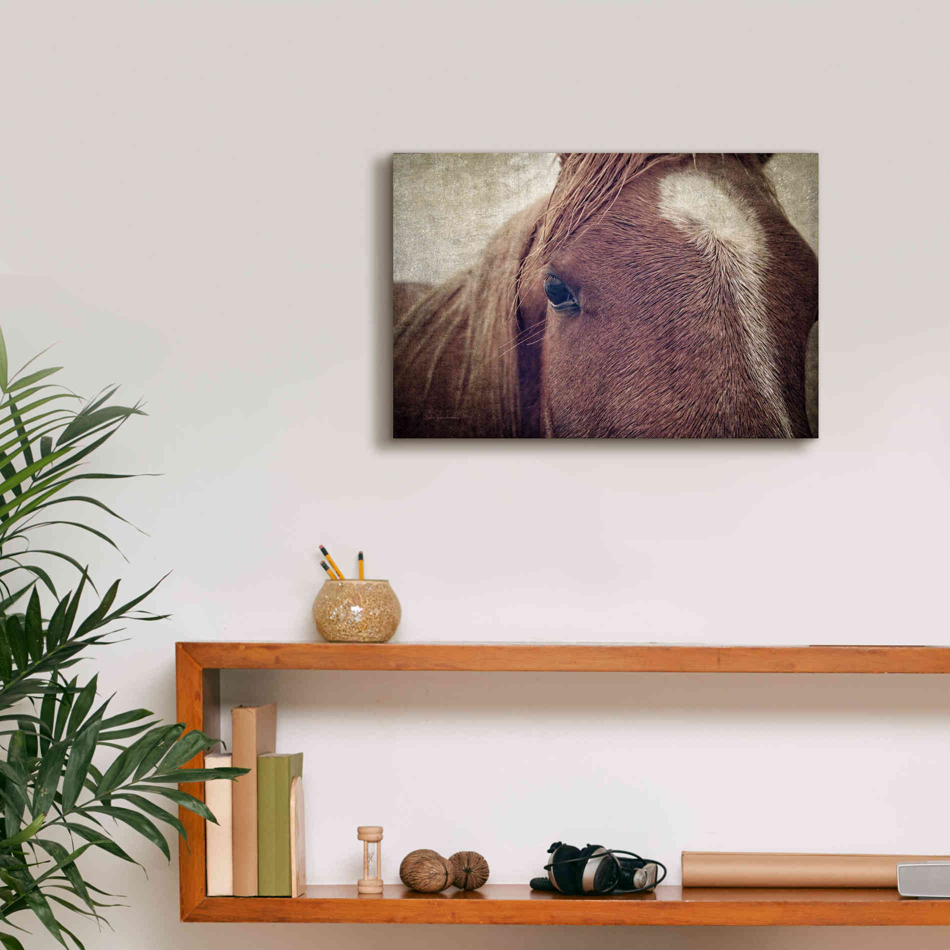 'Dew Lashes' by Debra Van Swearingen, Canvas Wall Art,18 x 12