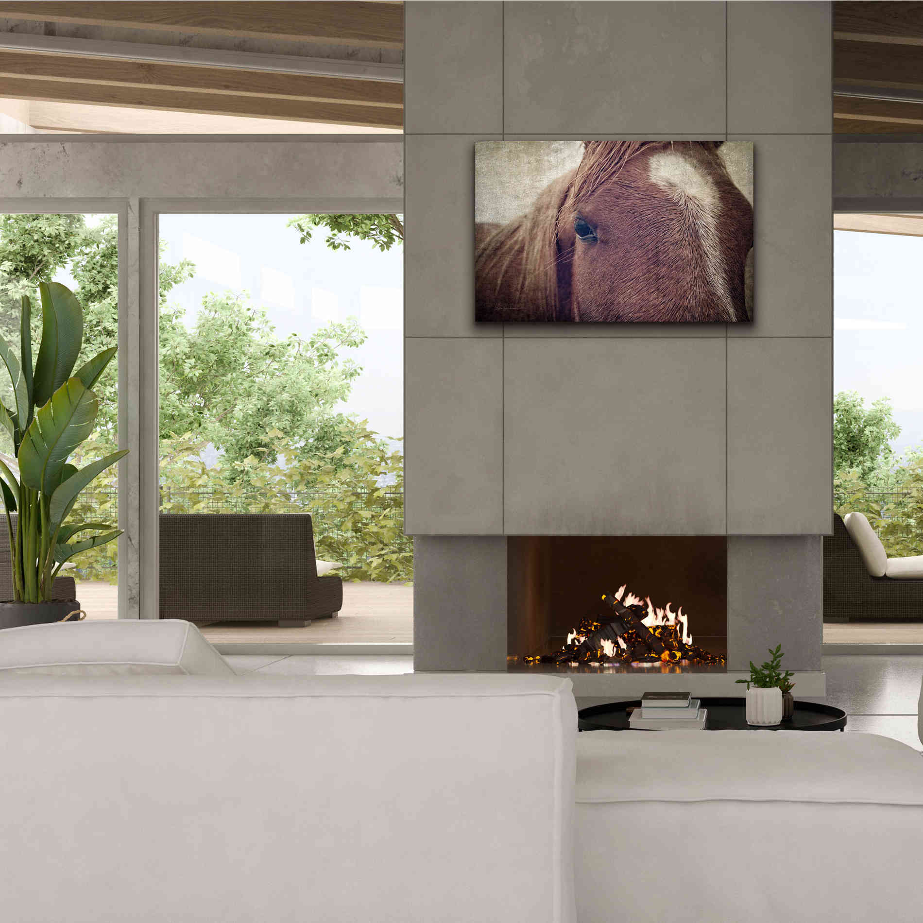 'Dew Lashes' by Debra Van Swearingen, Canvas Wall Art,40 x 26