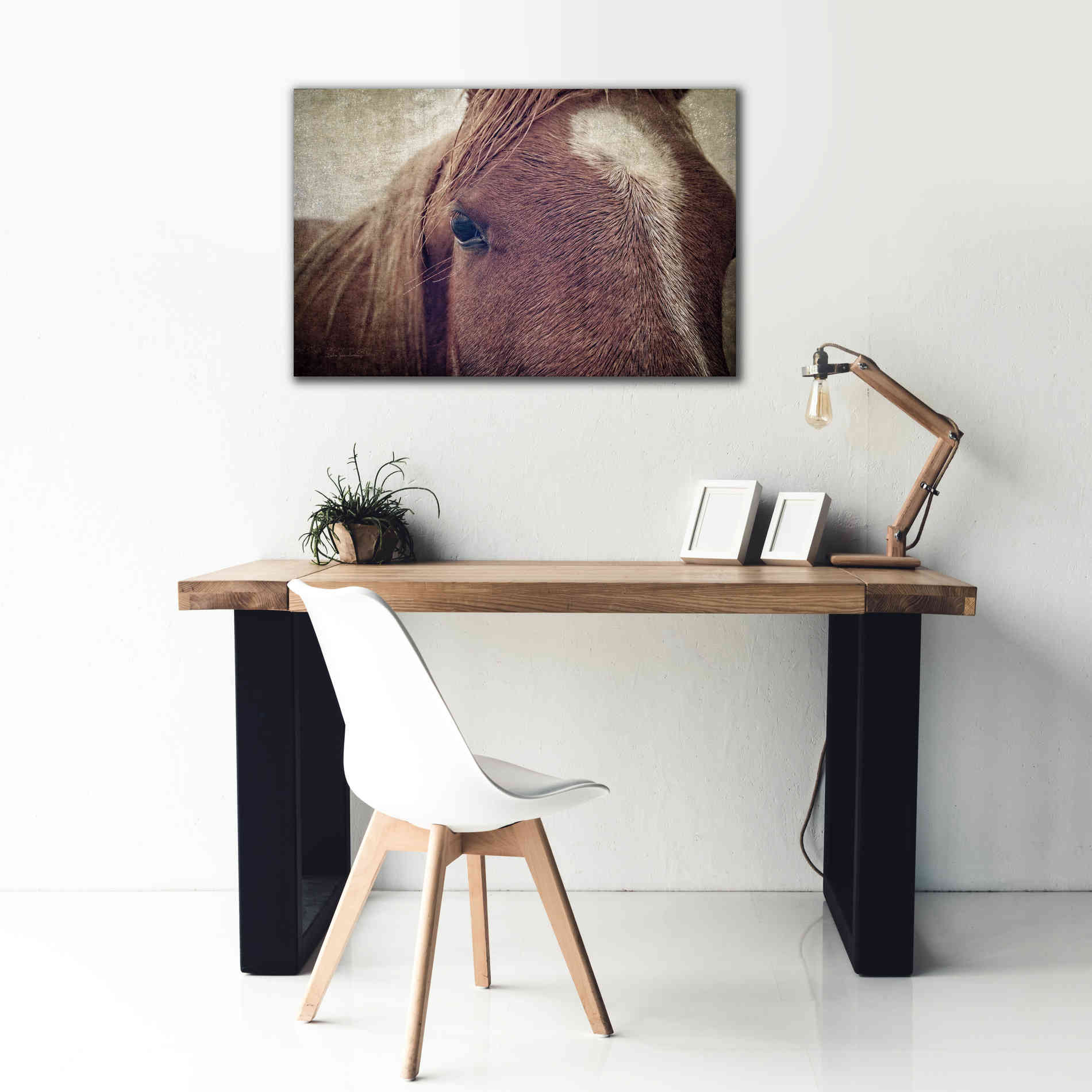 'Dew Lashes' by Debra Van Swearingen, Canvas Wall Art,40 x 26