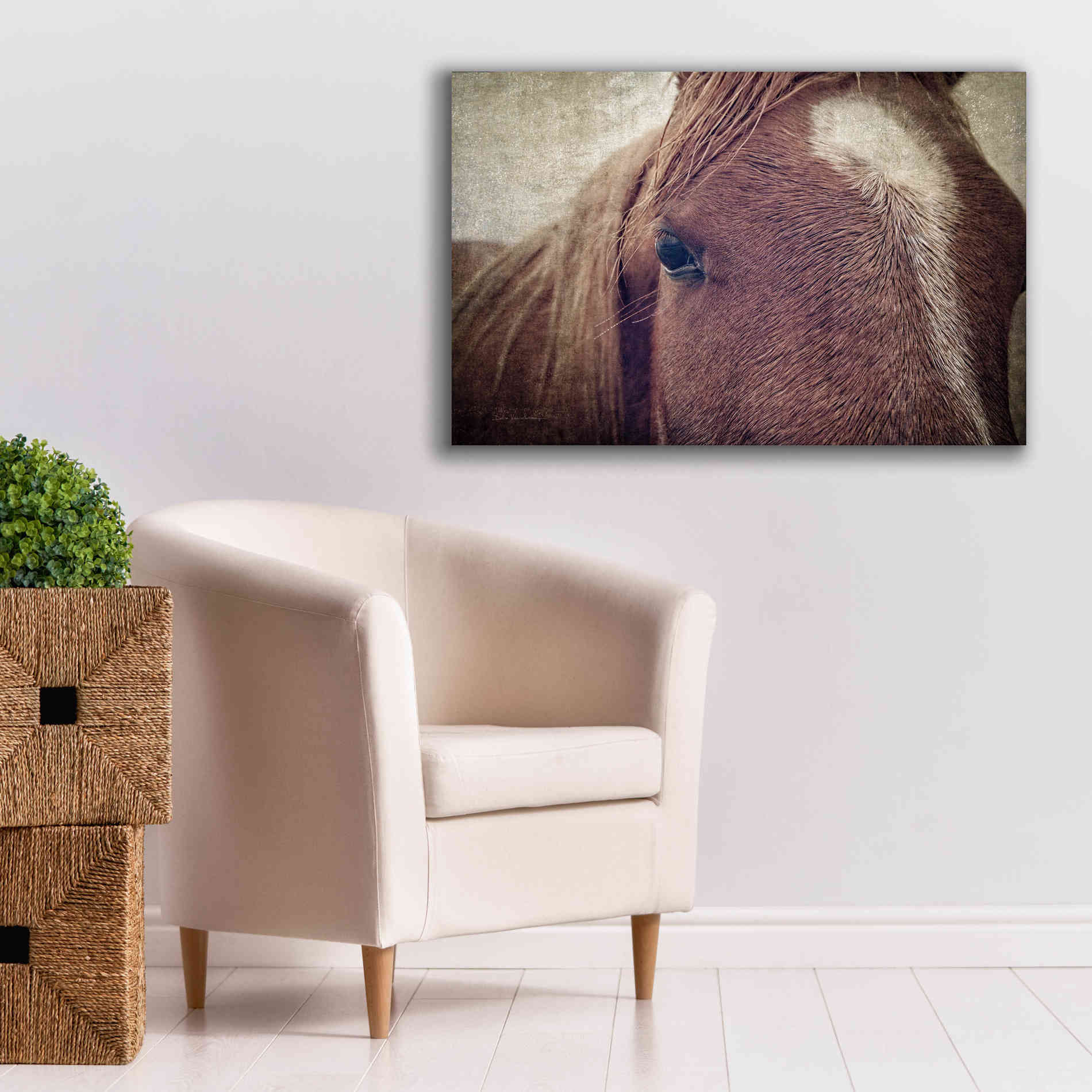 'Dew Lashes' by Debra Van Swearingen, Canvas Wall Art,40 x 26