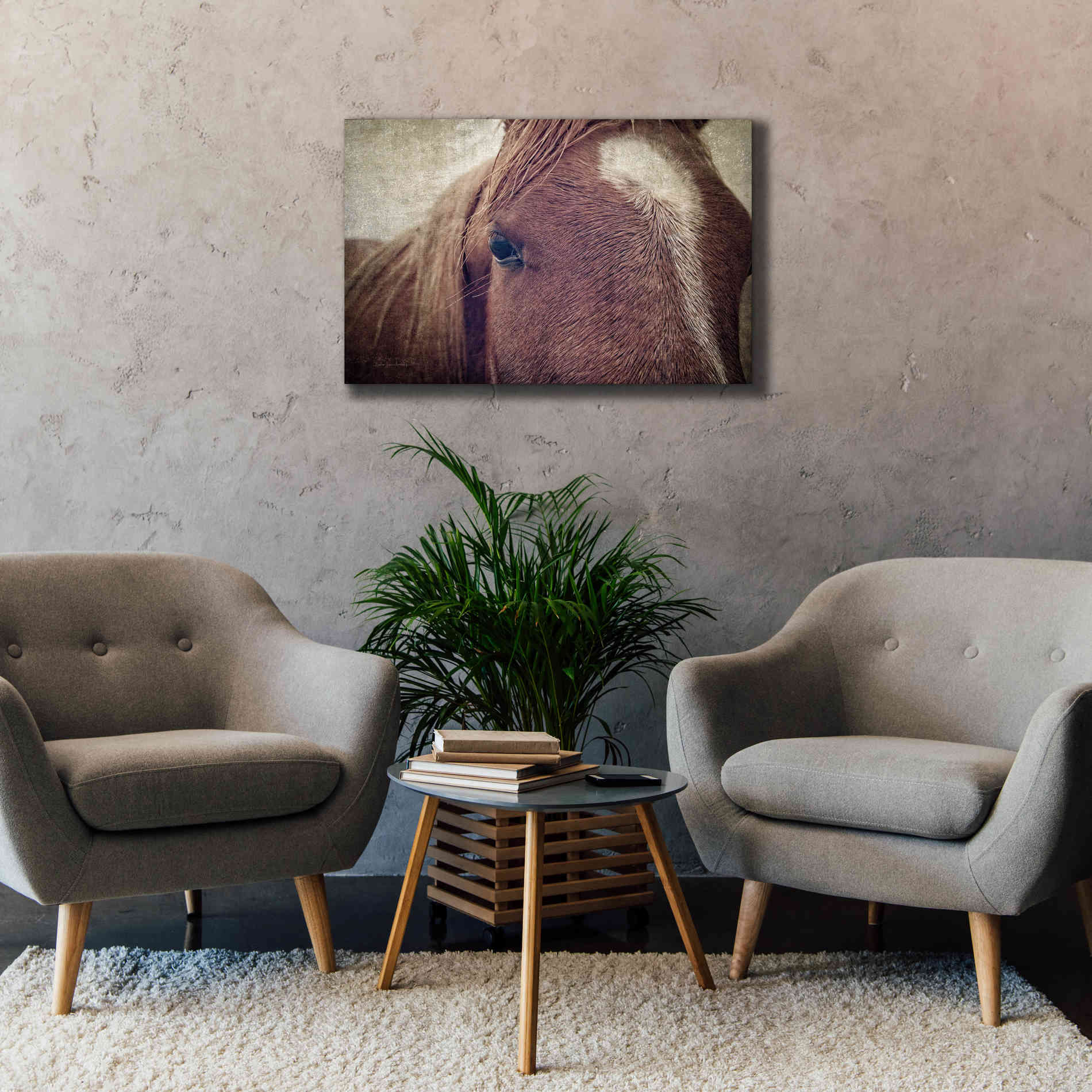 'Dew Lashes' by Debra Van Swearingen, Canvas Wall Art,40 x 26
