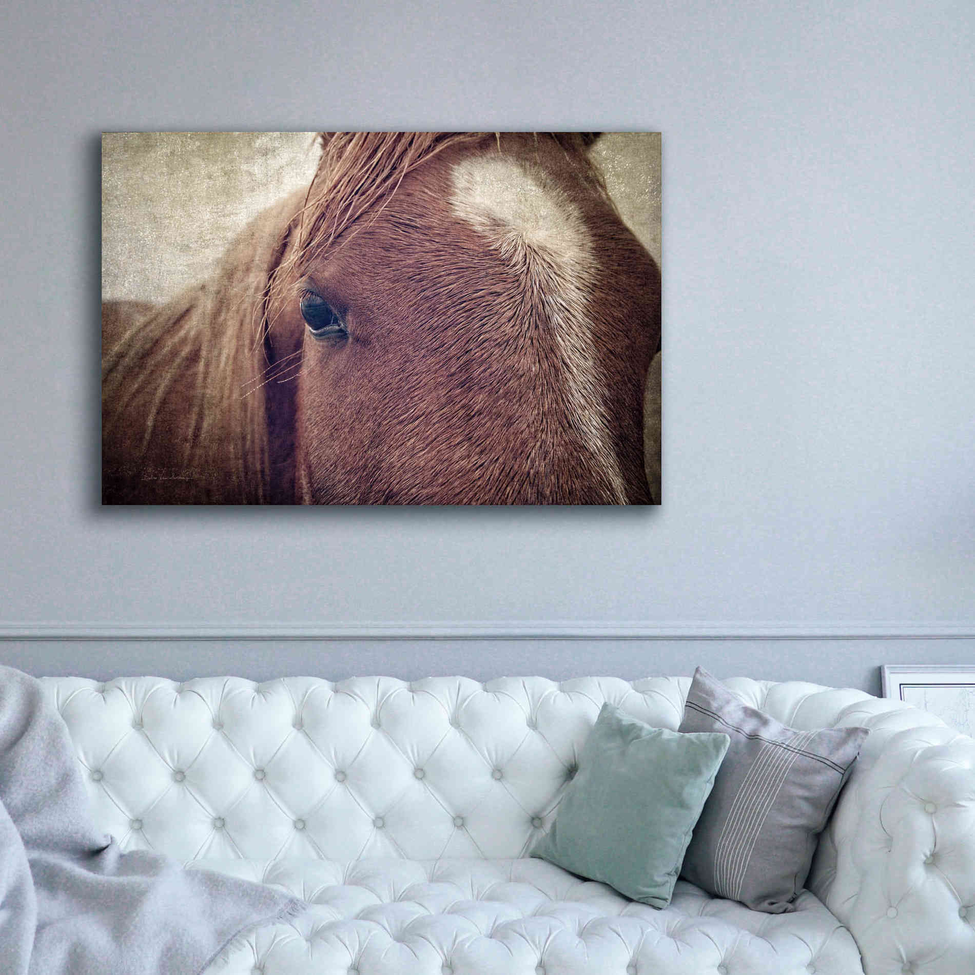 'Dew Lashes' by Debra Van Swearingen, Canvas Wall Art,60 x 40