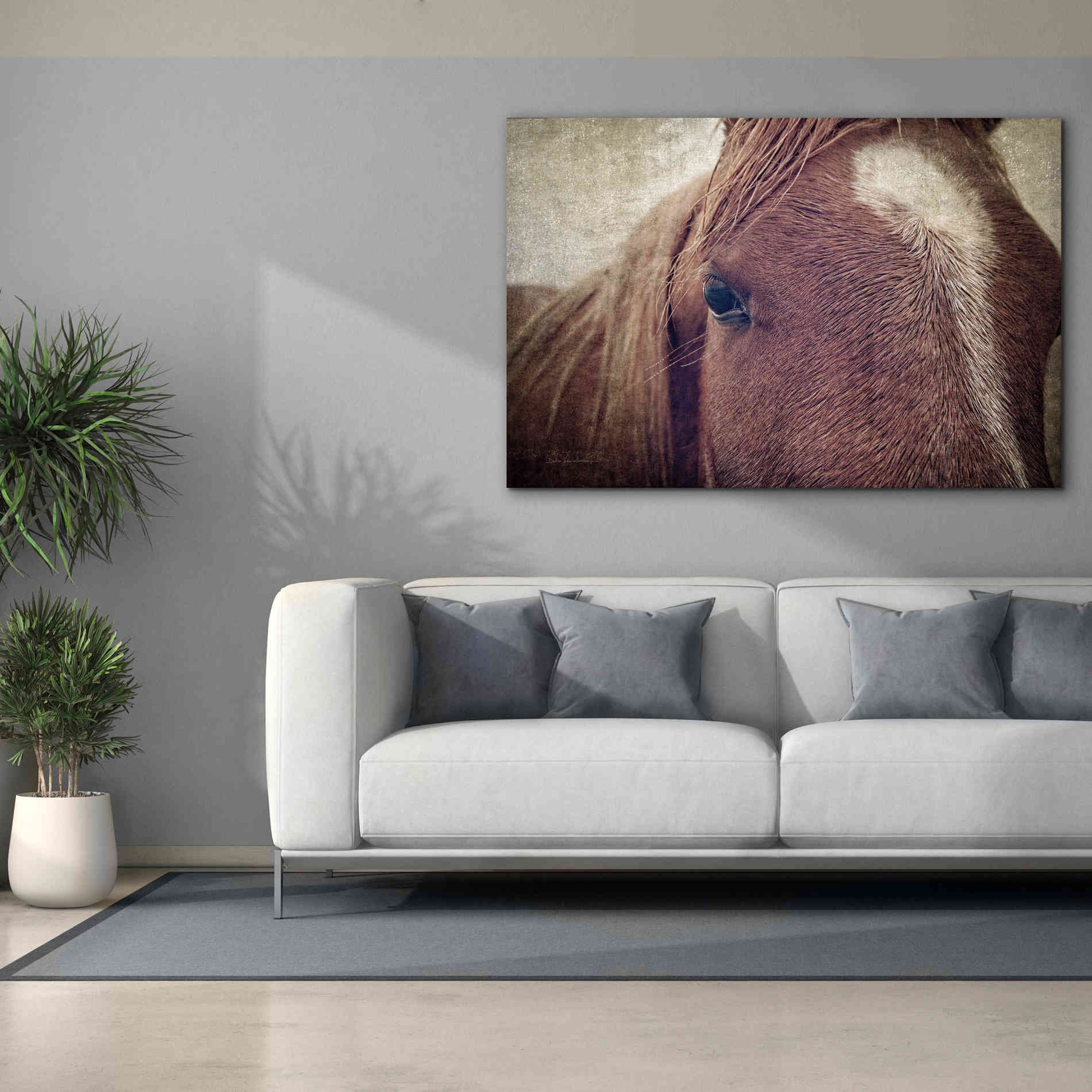 'Dew Lashes' by Debra Van Swearingen, Canvas Wall Art,60 x 40