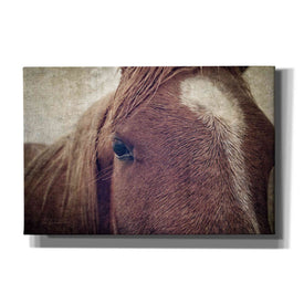 'Dew Lashes' by Debra Van Swearingen, Canvas Wall Art,18x12x1.1x0,26x18x1.1x0,40x26x1.74x0,60x40x1.74x0