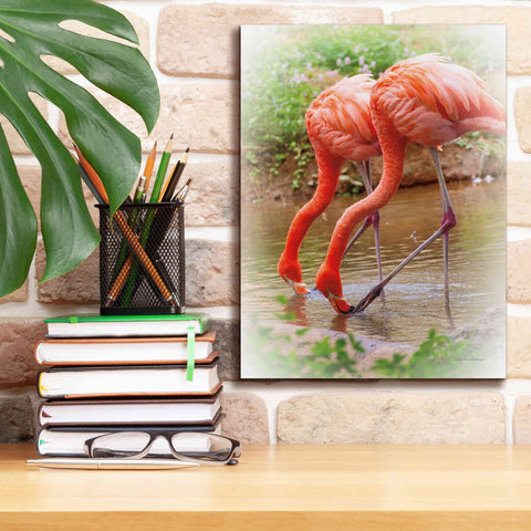 Image of 'Two Flamingos' by Debra Van Swearingen, Canvas Wall Art,12 x 16