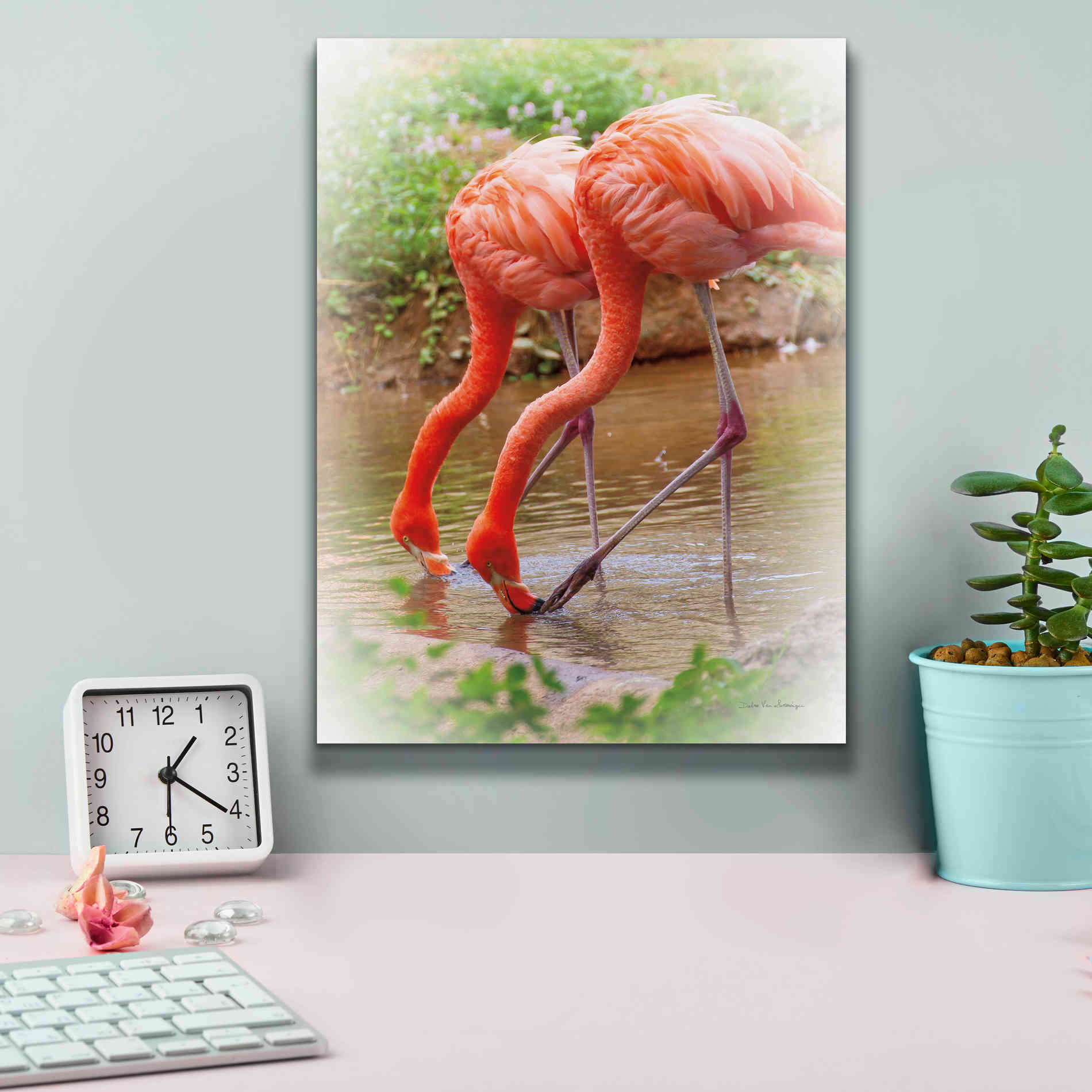 'Two Flamingos' by Debra Van Swearingen, Canvas Wall Art,12 x 16