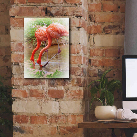 Image of 'Two Flamingos' by Debra Van Swearingen, Canvas Wall Art,12 x 16