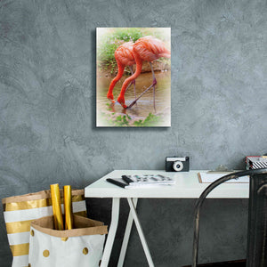 'Two Flamingos' by Debra Van Swearingen, Canvas Wall Art,12 x 16