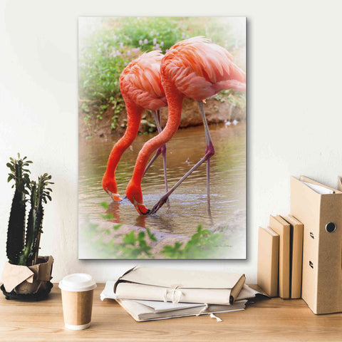 Image of 'Two Flamingos' by Debra Van Swearingen, Canvas Wall Art,18 x 26