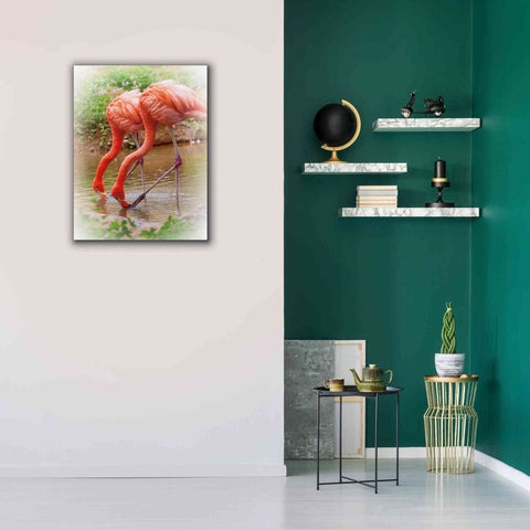 Image of 'Two Flamingos' by Debra Van Swearingen, Canvas Wall Art,26 x 34