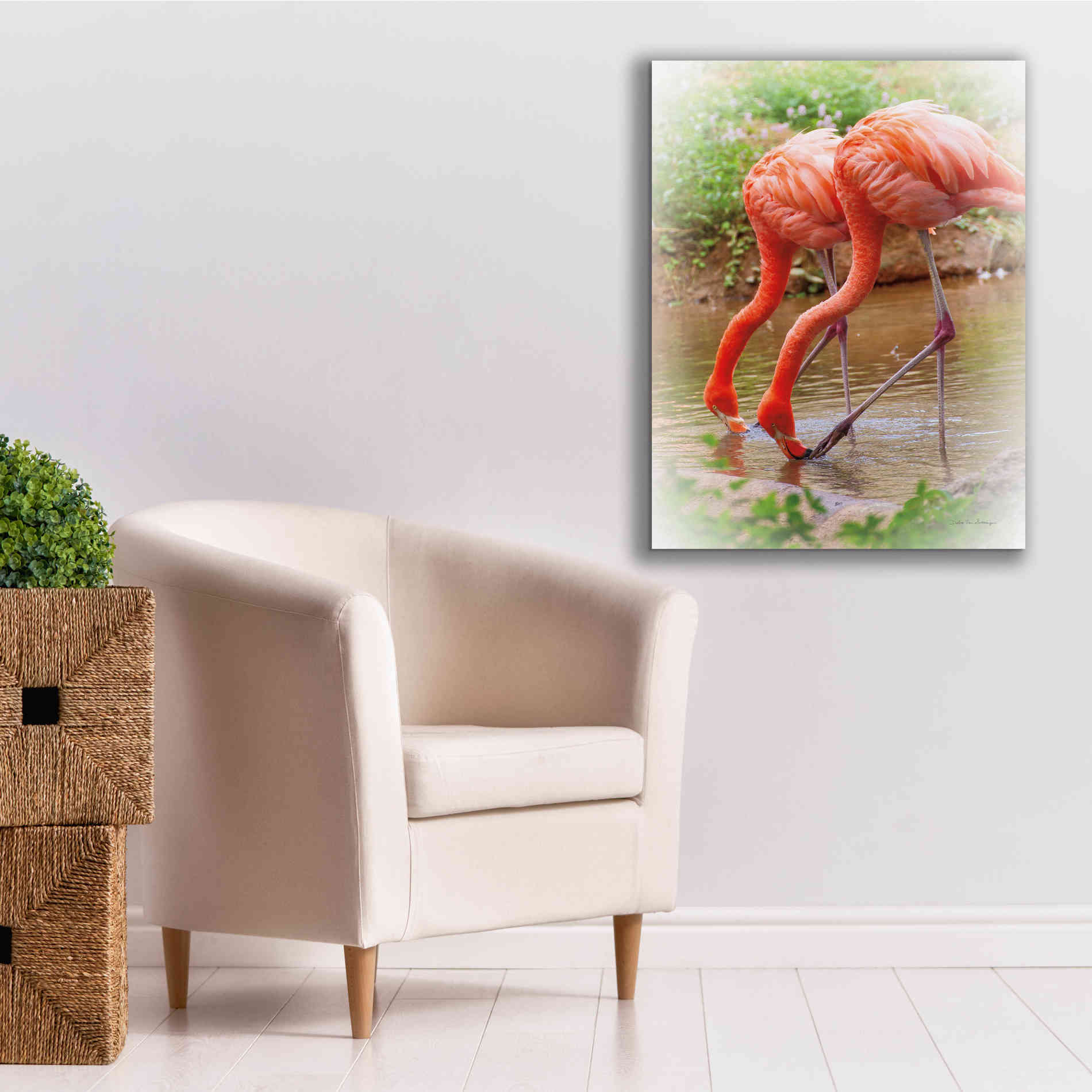 'Two Flamingos' by Debra Van Swearingen, Canvas Wall Art,26 x 34