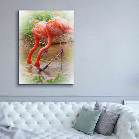 Image of 'Two Flamingos' by Debra Van Swearingen, Canvas Wall Art,40 x 54