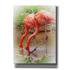 'Two Flamingos' by Debra Van Swearingen, Canvas Wall Art,12x16x1.1x0,18x26x1.1x0,26x34x1.74x0,40x54x1.74x0