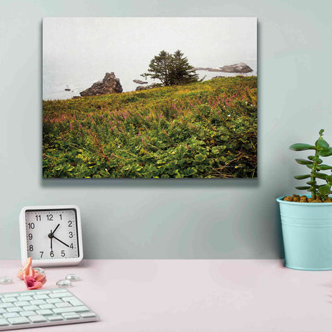 Image of 'Oregon Coast' by Debra Van Swearingen, Canvas Wall Art,16 x 12