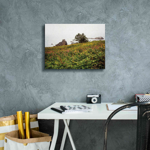 Image of 'Oregon Coast' by Debra Van Swearingen, Canvas Wall Art,16 x 12