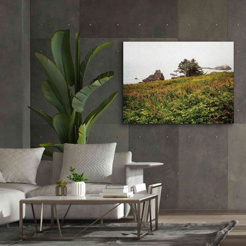 Image of 'Oregon Coast' by Debra Van Swearingen, Canvas Wall Art,54 x 40