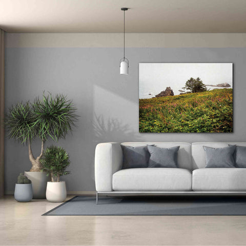 Image of 'Oregon Coast' by Debra Van Swearingen, Canvas Wall Art,54 x 40
