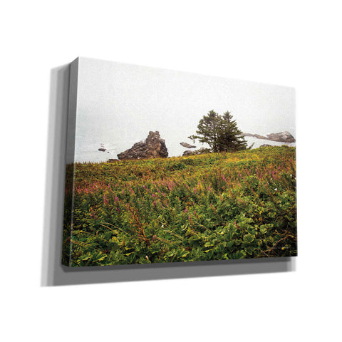 Image of 'Oregon Coast' by Debra Van Swearingen, Canvas Wall Art,16x12x1.1x0,26x18x1.1x0,34x26x1.74x0,54x40x1.74x0