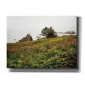 'Oregon Coast' by Debra Van Swearingen, Canvas Wall Art,16x12x1.1x0,26x18x1.1x0,34x26x1.74x0,54x40x1.74x0