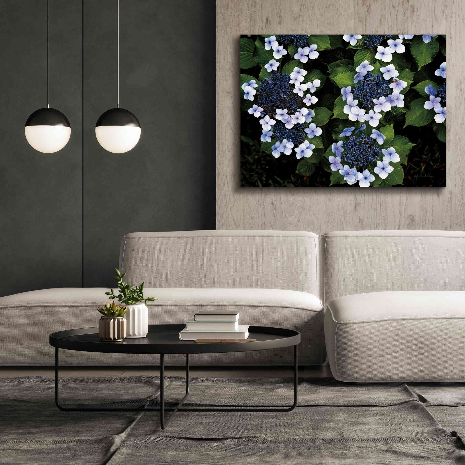 'Hydrangeas Opening' by Debra Van Swearingen, Canvas Wall Art,54 x 40