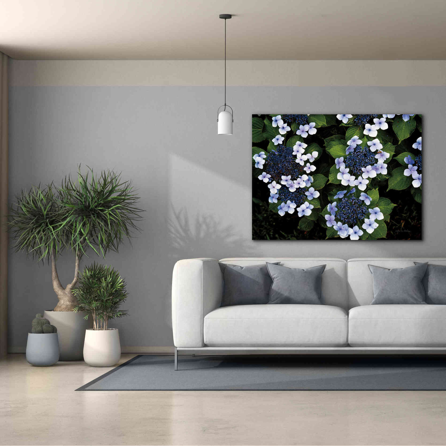 'Hydrangeas Opening' by Debra Van Swearingen, Canvas Wall Art,54 x 40