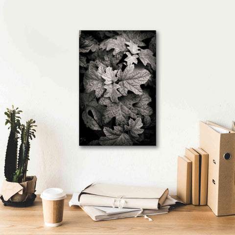 Image of 'Hydrangea Leaves in Black and White' by Debra Van Swearingen, Canvas Wall Art,12 x 18