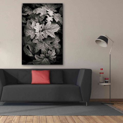Image of 'Hydrangea Leaves in Black and White' by Debra Van Swearingen, Canvas Wall Art,40 x 60