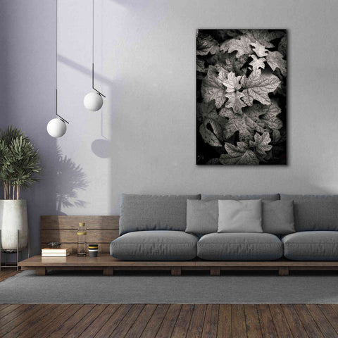 Image of 'Hydrangea Leaves in Black and White' by Debra Van Swearingen, Canvas Wall Art,40 x 60
