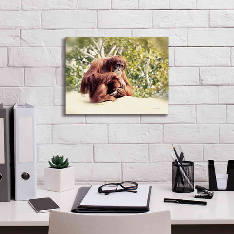 Image of 'Orangutan' by Debra Van Swearingen, Canvas Wall Art,16 x 12