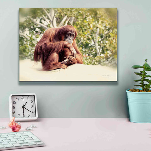 Image of 'Orangutan' by Debra Van Swearingen, Canvas Wall Art,16 x 12