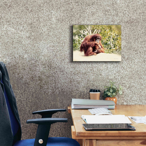 Image of 'Orangutan' by Debra Van Swearingen, Canvas Wall Art,16 x 12