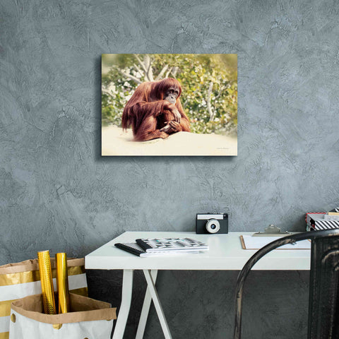 Image of 'Orangutan' by Debra Van Swearingen, Canvas Wall Art,16 x 12