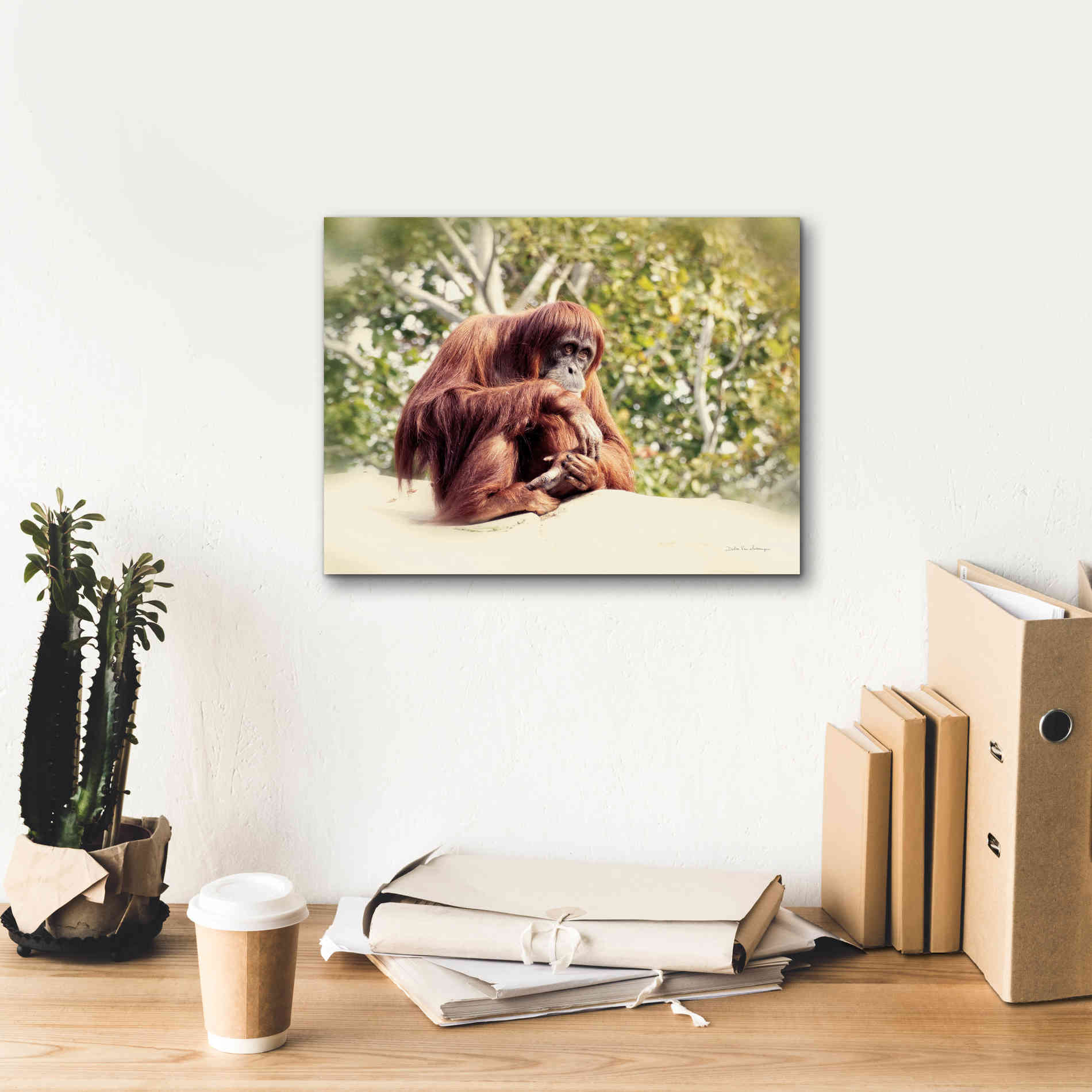 'Orangutan' by Debra Van Swearingen, Canvas Wall Art,16 x 12