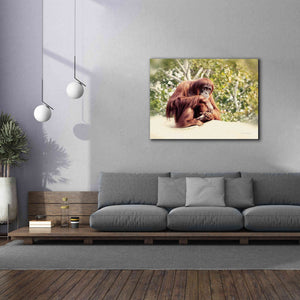 'Orangutan' by Debra Van Swearingen, Canvas Wall Art,54 x 40