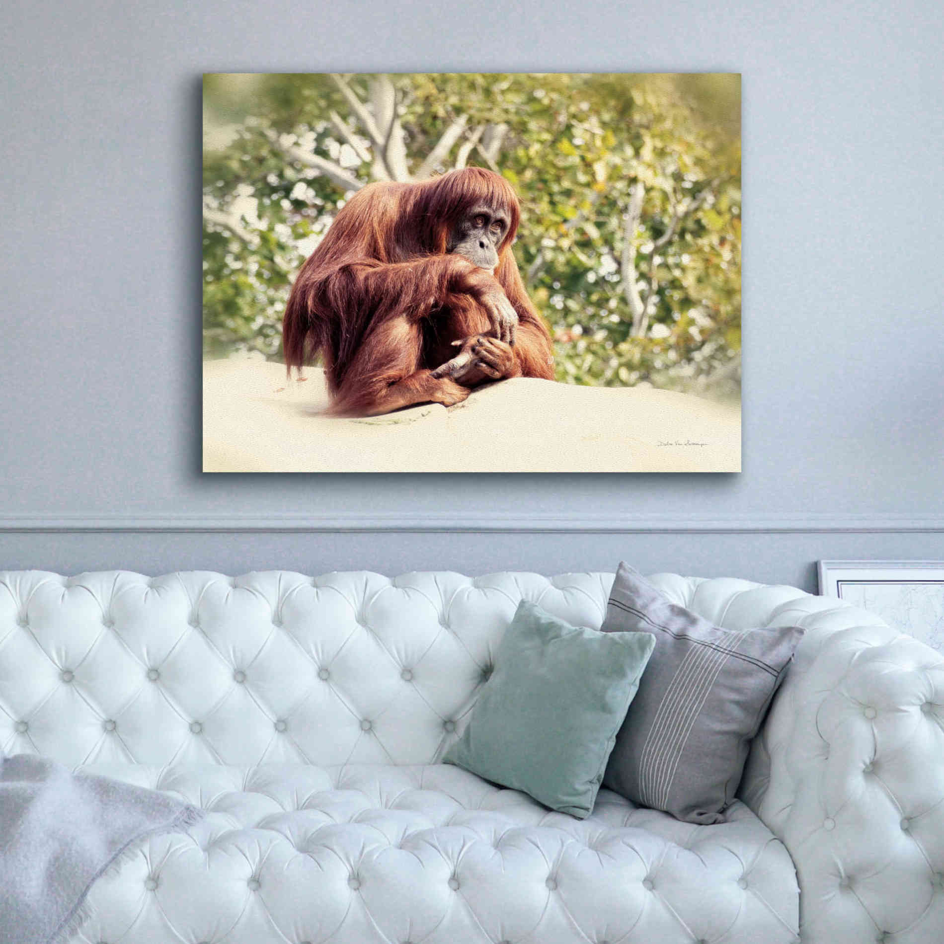 'Orangutan' by Debra Van Swearingen, Canvas Wall Art,54 x 40