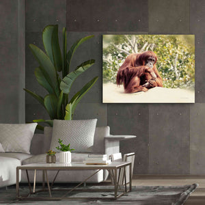 'Orangutan' by Debra Van Swearingen, Canvas Wall Art,54 x 40