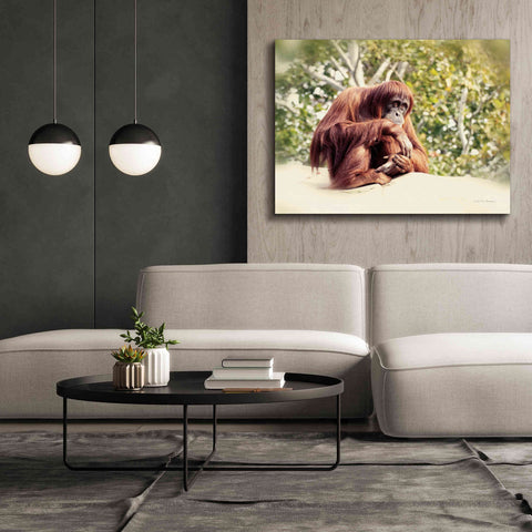 Image of 'Orangutan' by Debra Van Swearingen, Canvas Wall Art,54 x 40