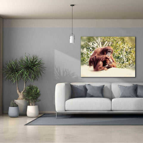 Image of 'Orangutan' by Debra Van Swearingen, Canvas Wall Art,54 x 40