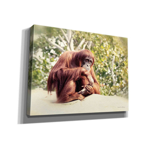 Image of 'Orangutan' by Debra Van Swearingen, Canvas Wall Art,16x12x1.1x0,26x18x1.1x0,34x26x1.74x0,54x40x1.74x0