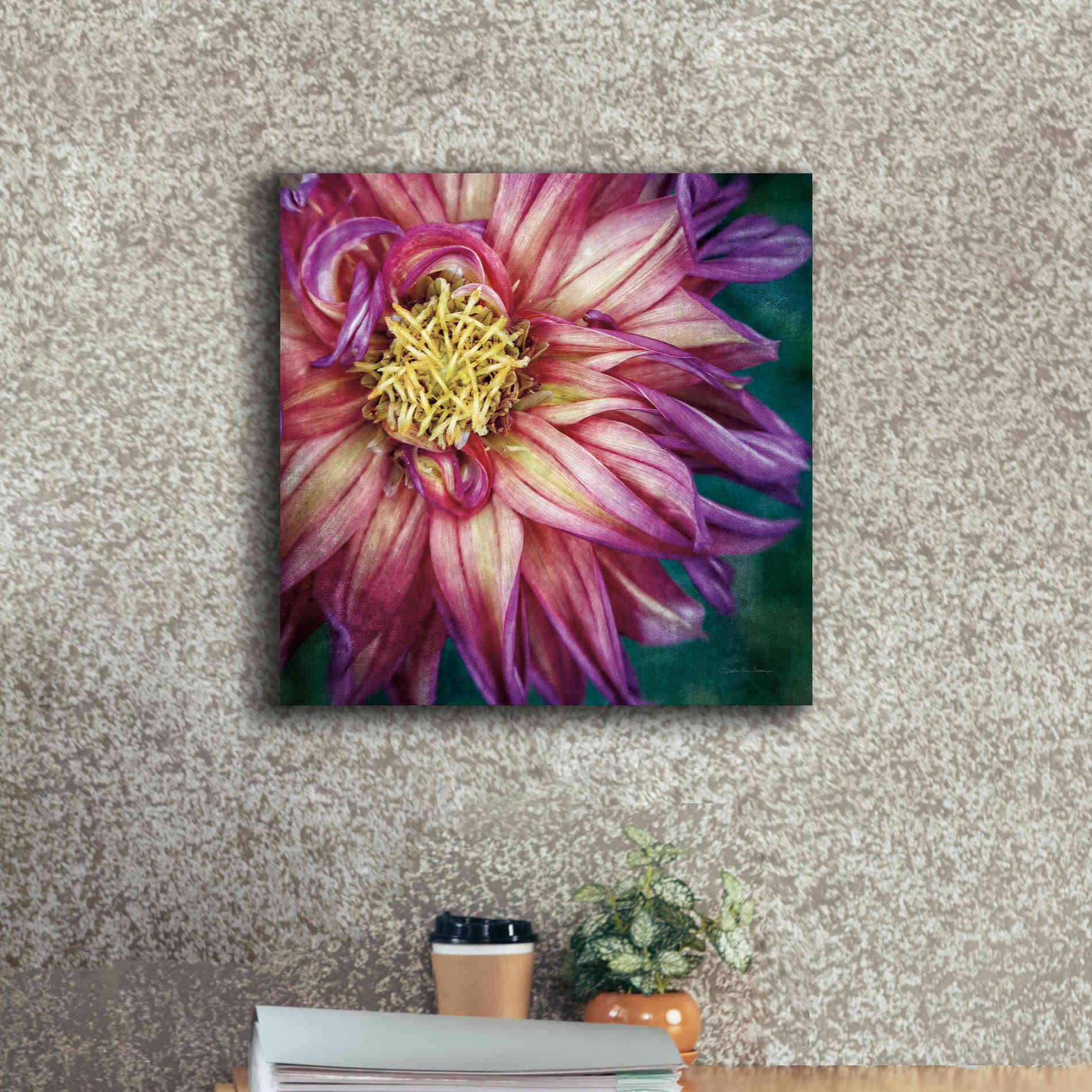 'Dahlia I' by Debra Van Swearingen, Canvas Wall Art,18 x 18